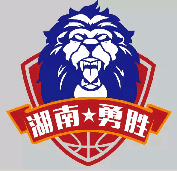 湖南长沙队状态回升，实现连续取胜冲击前四的简单介绍